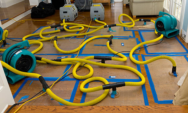 Professional Water Damage Repair technician working in East Andover, NH